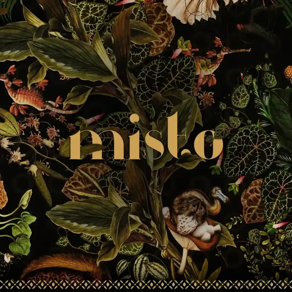 misto_5_11zon