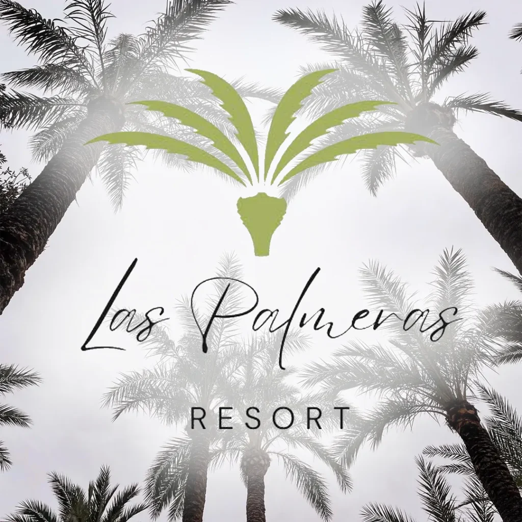 palmera_6_11zon